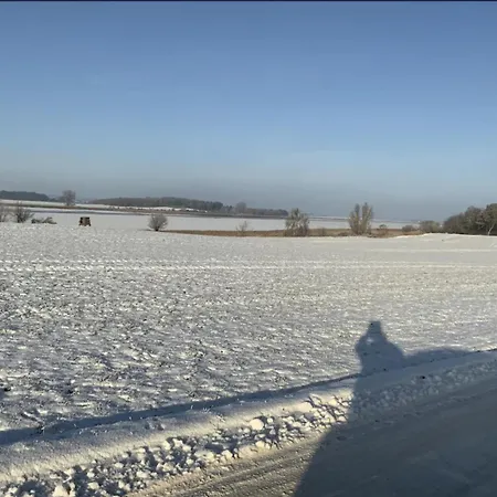 Holiday home Am Peene-ufer Molschow